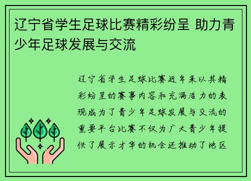 辽宁省学生足球比赛精彩纷呈 助力青少年足球发展与交流