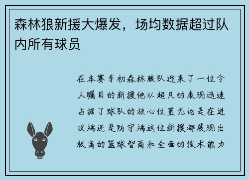 森林狼新援大爆发，场均数据超过队内所有球员