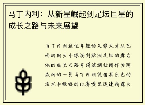 马丁内利：从新星崛起到足坛巨星的成长之路与未来展望