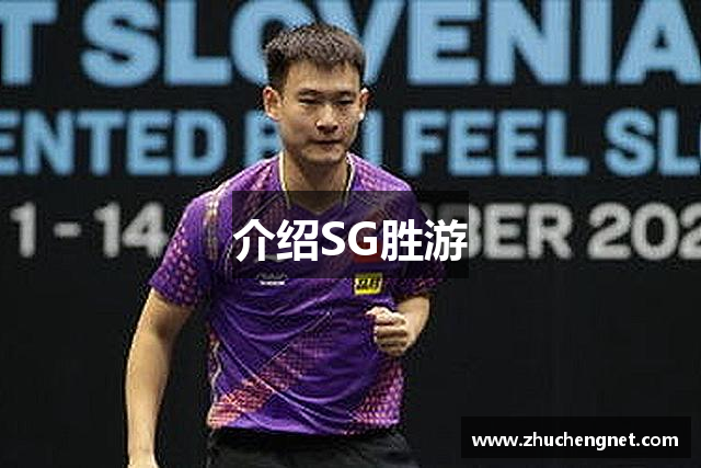 介绍SG胜游